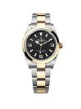 Rolex Explorer 124273 36mm 2022 Two Tone Yellow Gold - Unworn